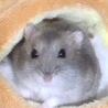 くんくんママ さん