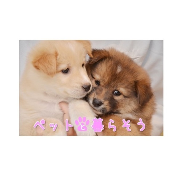 一般社団法人　動物共生推進事業のカバー写真