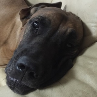 応募多数の為、一時終了します。