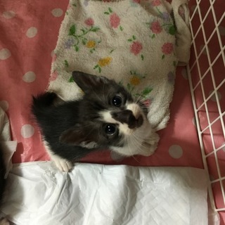 甘えんぼー男の子