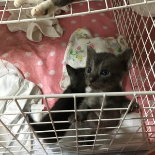 くりくりおめめの男の子