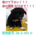 家族が出来ました！