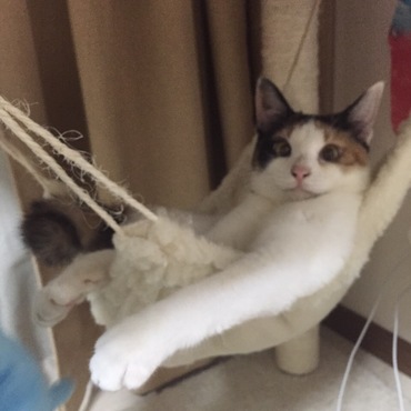 の写真