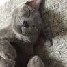 の写真