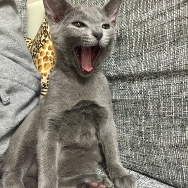 の写真