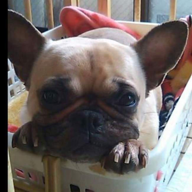 五十嵐吉織のカバー写真