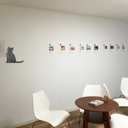 黒ネコパラダイス里親譲渡カフェ＊子猫中心＊