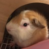 新たな仲間にビビってます(⊙⊙)!!!