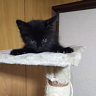 ピカピカの一年生です[保育園での成長記録記載中]