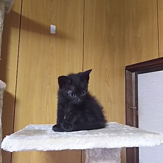 ピカピカの一年生です[保育園での成長記録記載中]