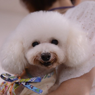 ちっちゃいシャインです♪