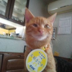 「眼球破裂から復活!!」サムネイル2