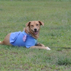 9月4日の卒業生アスカ