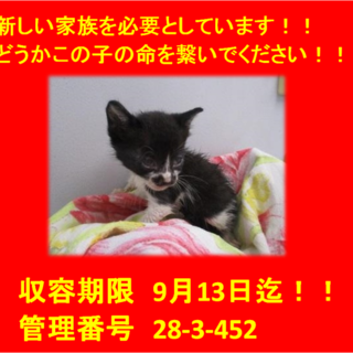 2匹兄弟で迎えていただきました♪感謝☆