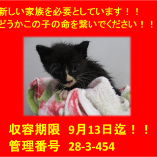 2匹兄弟で迎えていただきました♪感謝☆