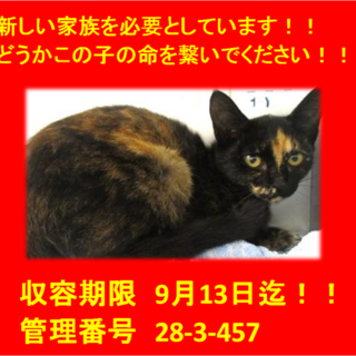 9/17本日無事にお迎え頂きました☆幸せにね♪