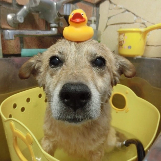nattu15のカバー写真