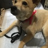三村ナッツ