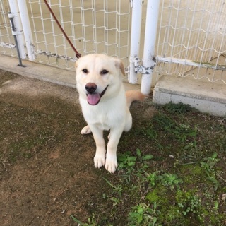 ふうがくんラブミックスが海くんに生まれ変わりました