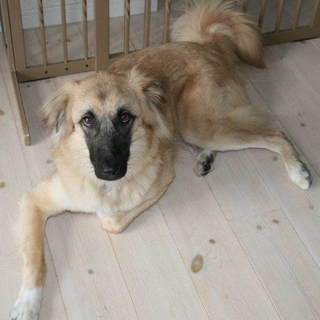 黒いお顔が個性的な笑太郎です