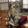 今年７歳です。