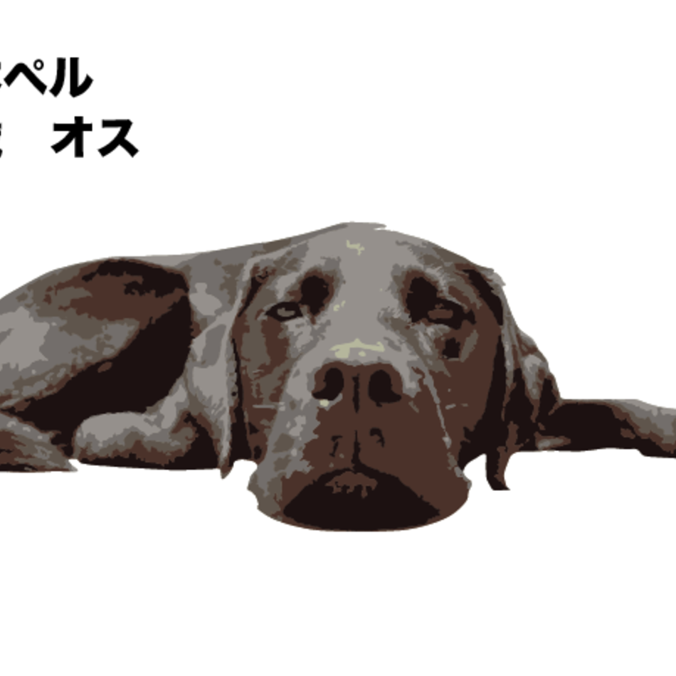 松本ペルのカバー写真