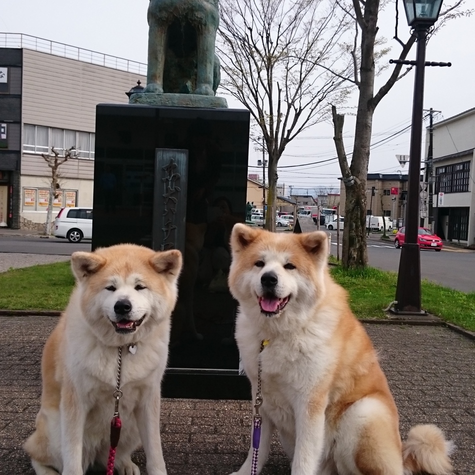 フクのカバー写真