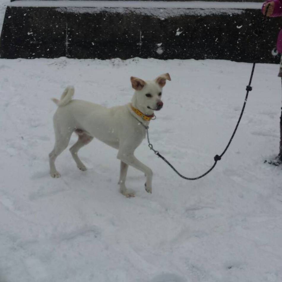 りくのカバー写真