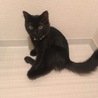 の写真