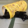 の写真