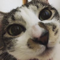 リン様