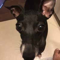 ララァ