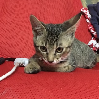 元気いっぱい♪