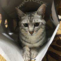 うに