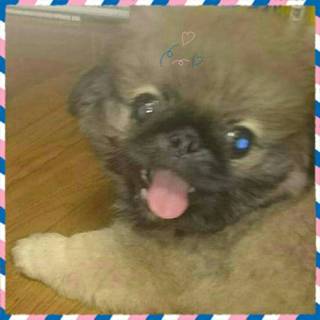 応募多数により、募集を終了させて頂きました。