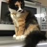 の写真
