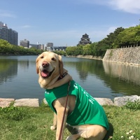 ナッシュ