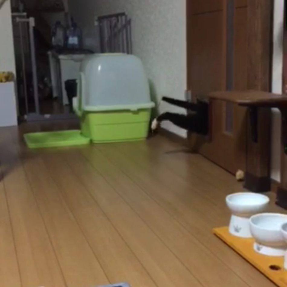 のりこのカバー写真