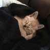 おねむ