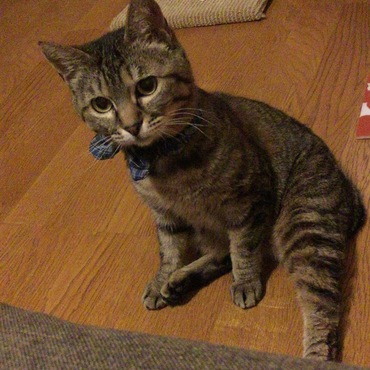スコ？！