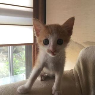 ガレージに居たBaby 