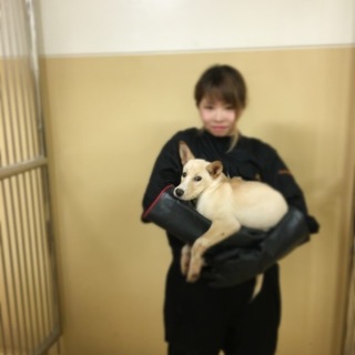 殺処分から逃れたものの安心はできません！