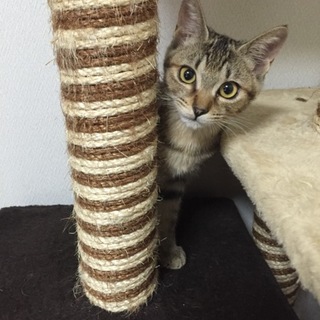 甘えっ子ピピです♫