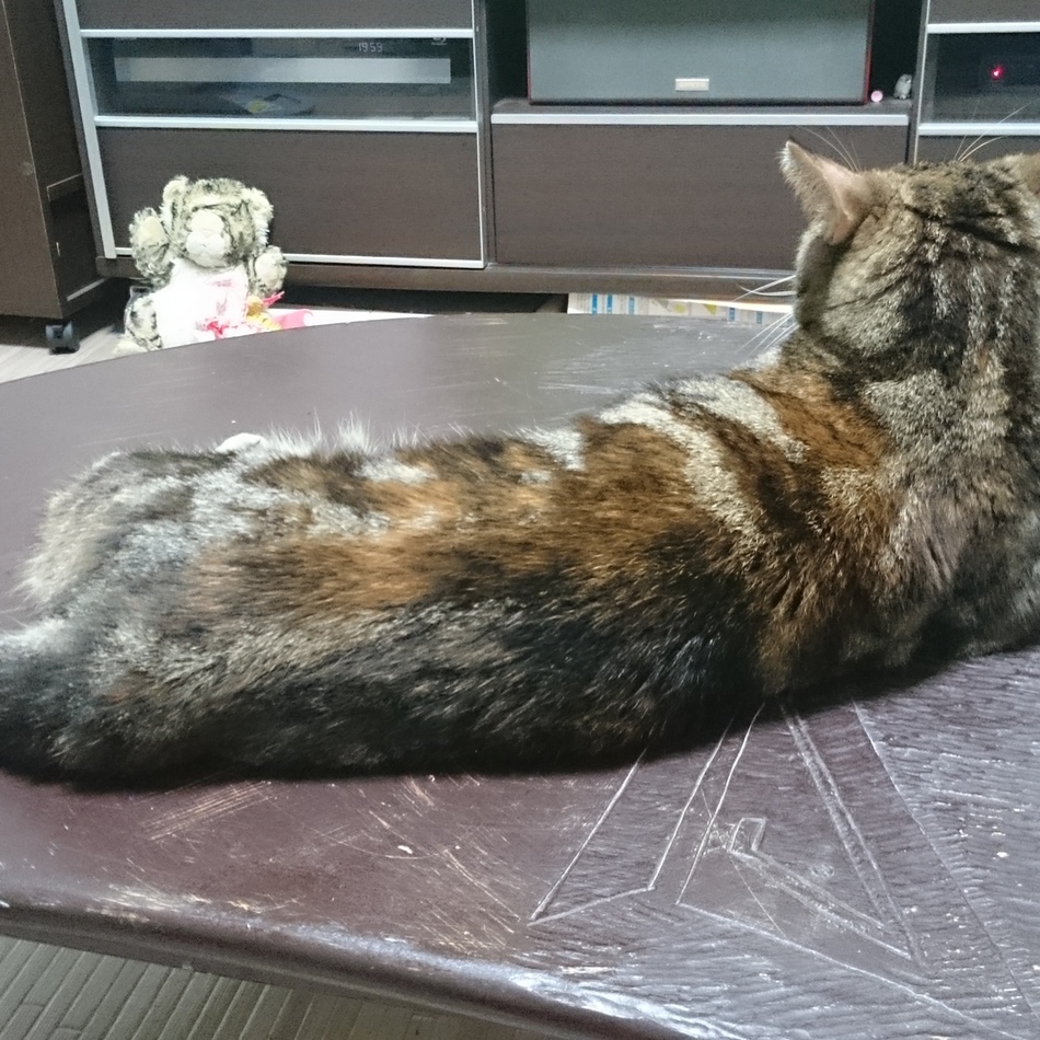 もずくのカバー写真