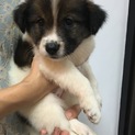 キャンセルになりました。