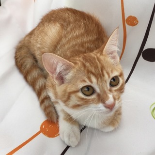 燦(さん)ちゃん