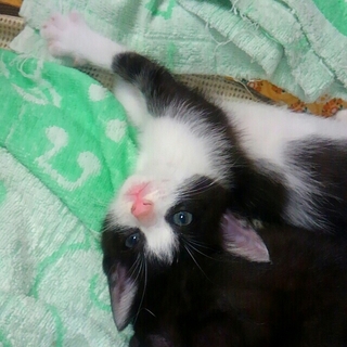 ありがとうございました！