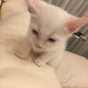 ごさり9