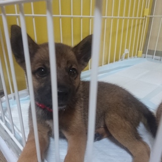 キャンセルの為再度お願いいたします‼