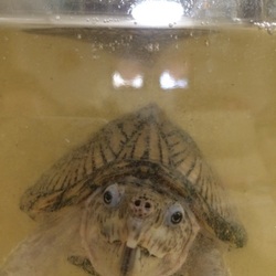 「調子良いです」サムネイル2